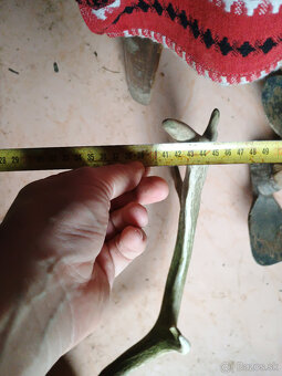 Parohy, zhody, trofej - aj výmena za včelársku literatúru - 7