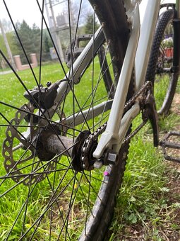 Ctm dirtking 2024 - 7