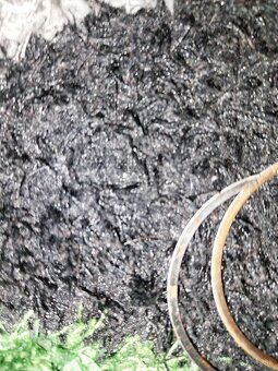 Piest na ktm125 a husqvarna125 - 7