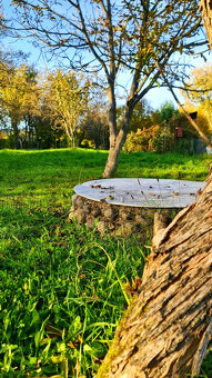 Rodinný dom v Nitrianskom Pravne,pozemok 1611m2+garáž,dielňa - 7