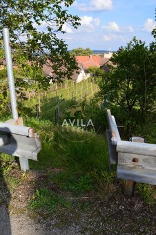 TOP NA PREDAJ: zaujímavý pozemok 740m2 - Smolenice - 7