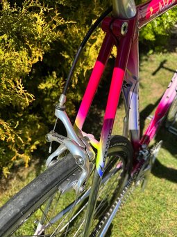 Colnago Tecnos Art Decor - 7