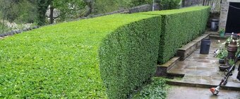 Kompletná realizácia a údržba záhrad – najvýhodnejšie ceny - 7