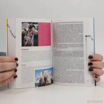 AFRIKA - rôzne druhy česk. tur. sprievodcov Rough Guides - 7