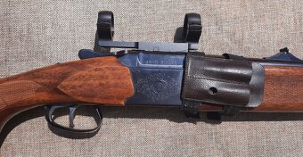 Guľová kozlica Brno - 7