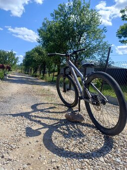 Ctm dirtking - 7