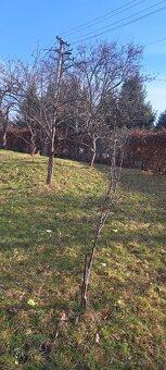 Domček v Hornej Štubni - 7