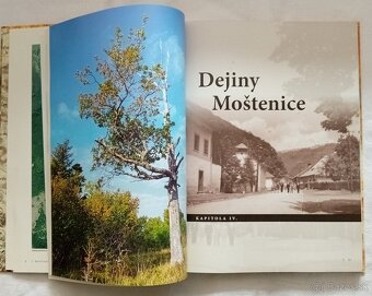 Moštenica - 7