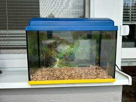 Akvárium na rybicky/ aj ako terarium pre drobné korytnačky - 7