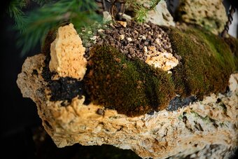 Bonsai Krajinka v miske 78x38cm, prírodný kameň - 7