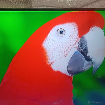 Samsung 55(138cm) smart led tv - 7