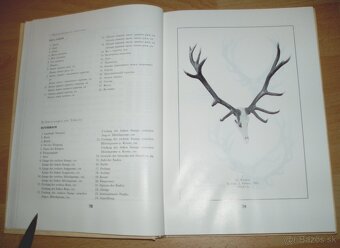 Zlaté trofeje ČSSR - 7