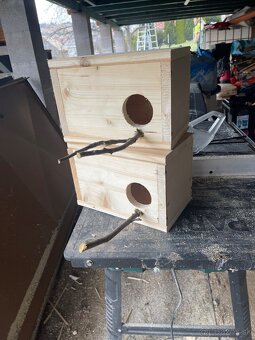 Andulky + klietka voliera - 7