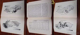 VLASTIVEDA 1944 2x - VESTNÍK MIN. ŠKOLSTVA 1938 - 7