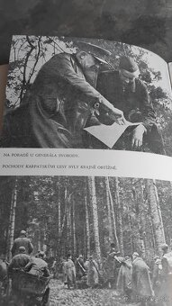 Štefánik a rôzne knižky - 7