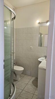 Prenájom 1-izbového bytu - 7