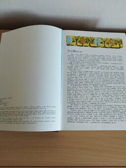 Ilustrovana Biblia. - 7