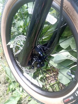 SPECIALIZED P.1 GLOSS deep 20" - 7