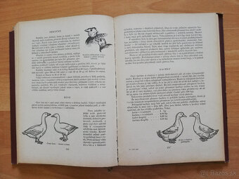 Tisíc dobrých rad mladým včelařum,holubářum.......1960 - 7