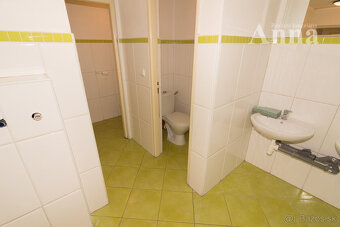 Nebytové priestory v centre Malaciek (115 m2) - 7