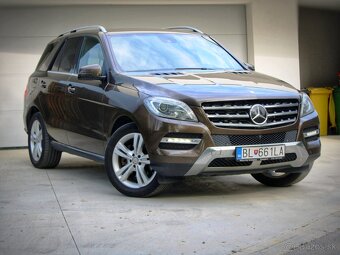 Mercedes-Benz ML 350 Bluetec 4MATIC - 7