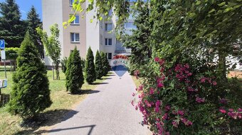 Garsónka 30 m2 v centre Brezová pod Bradlom - 7