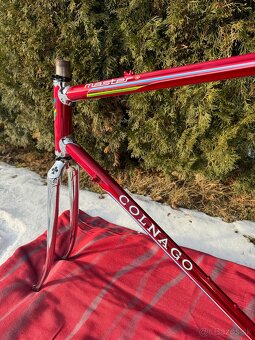 Colnago Master Equilateral - 7