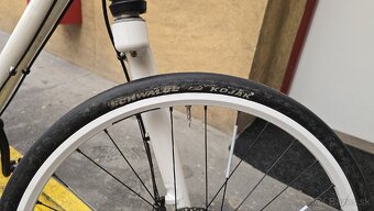 Cannondale Bad Boy - 7