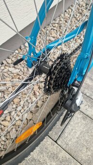 Kellys Vanity 20 / 27,5" M - 7