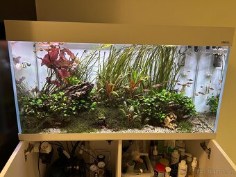 AquaEl Opti Set akvarijný set 101x41x56 biely - 7