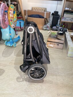 Kocik - 7