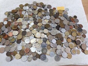 Mince 2.5kg lot4 - 7