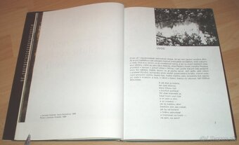 Rytíři hlubokých lesu - 7