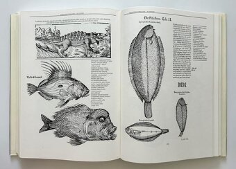 Nádherná séria encyklopédií - 7