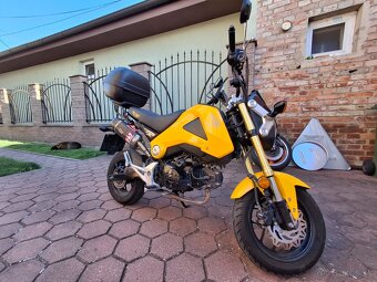 Honda MSX 125 Grom - 7