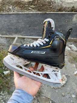 Korcule Bauer Supreme 2S - 7
