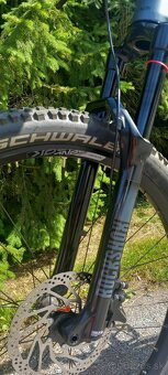 Kellys Theos F60 - 7