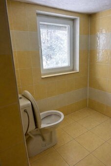 Dvojdom v obci Bystrá (Brezno) - 7