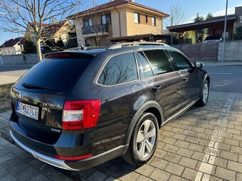 Octavia Scaut - 7