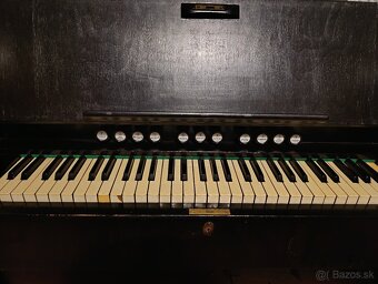 Harmonium Kotykiewicz - 7