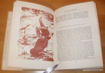 Lovy v Karpatech - 7