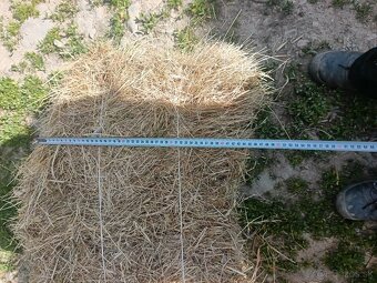 Predám seno - 7