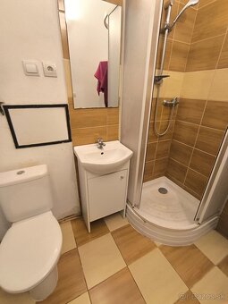 Prenajom byt, nove mesto nad vahom - 7