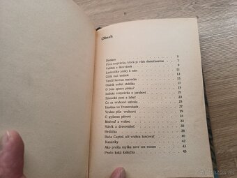 O vtáčkoch letáčkoch 1933 ilustrácie Fulla - 7