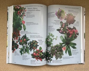 Knihy Príjemný Život s Kvetinami Obľúbené Izbové Kvety - 7