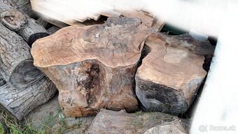 Predam orechove drevo - 7