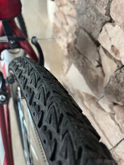 Úplne nový dámsky trekový bicykel CTM Bora 1.0 28” , M (16" - 7