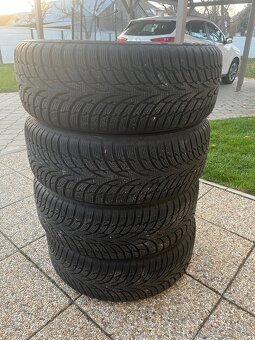 Zimna sada MAZDA R16 - 7