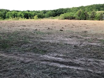 Košice - v lone prírody, v objatí lesa 600 m2 - 7