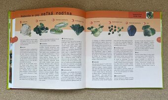 Kniha Magická Kapustová Polievka Marion Grillparzerová - 7